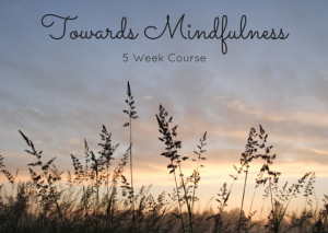 Towards Mindfulness