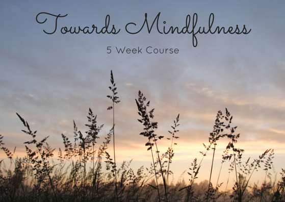 Towards Mindfulness- 5 Week Course