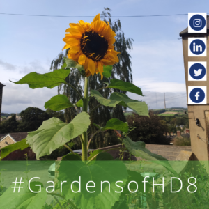 Gardens of HD8 #GardensofHD8