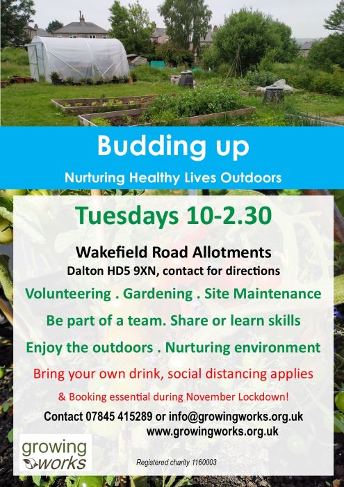 Wakefield Rd allotments volunteering sessions