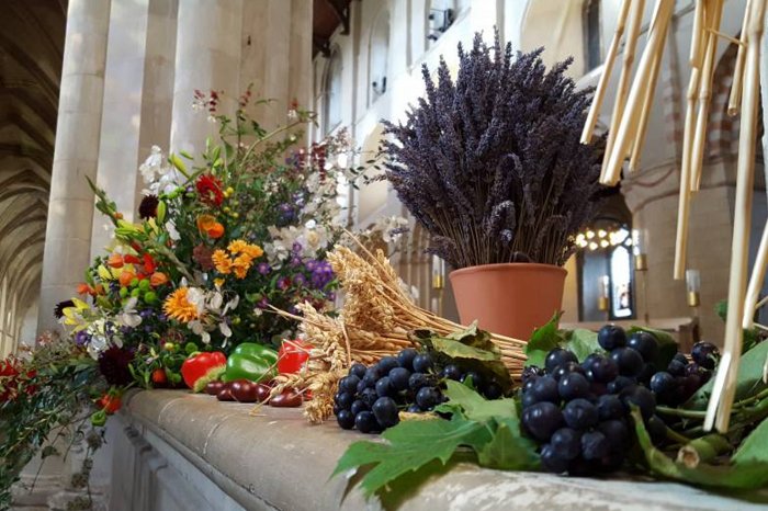 Harvest Festival appeal