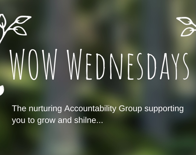 Accountability Membership Group for Small Businesses and Individuals working on their own