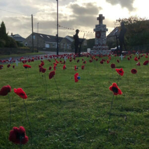 Upper Denby Poppies