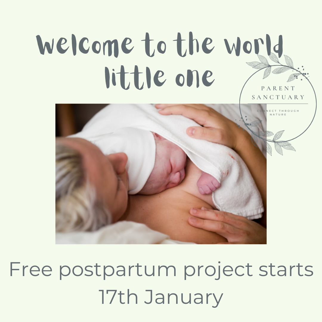 Postpartum Project