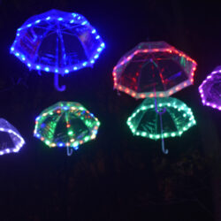 Umbrellas - Light up the Woods