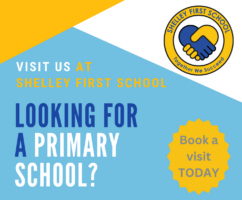 Looking for a Primary School